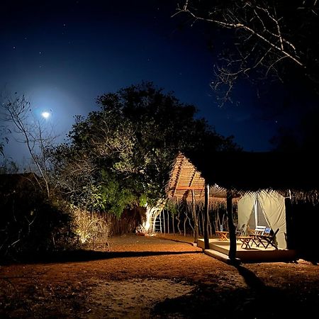 Ranakeliya Lodge - ยาลา ภายนอก รูปภาพ
