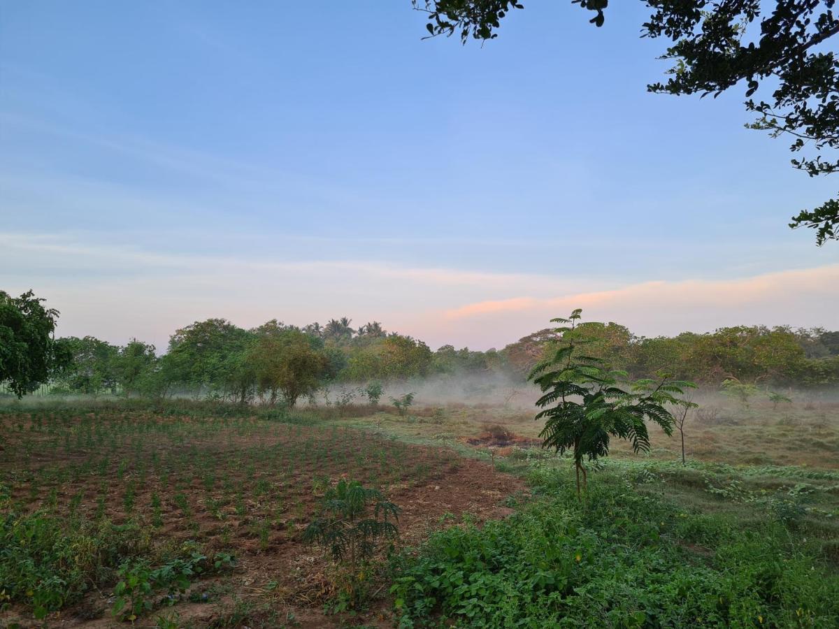 Ranakeliya Lodge - ยาลา ภายนอก รูปภาพ