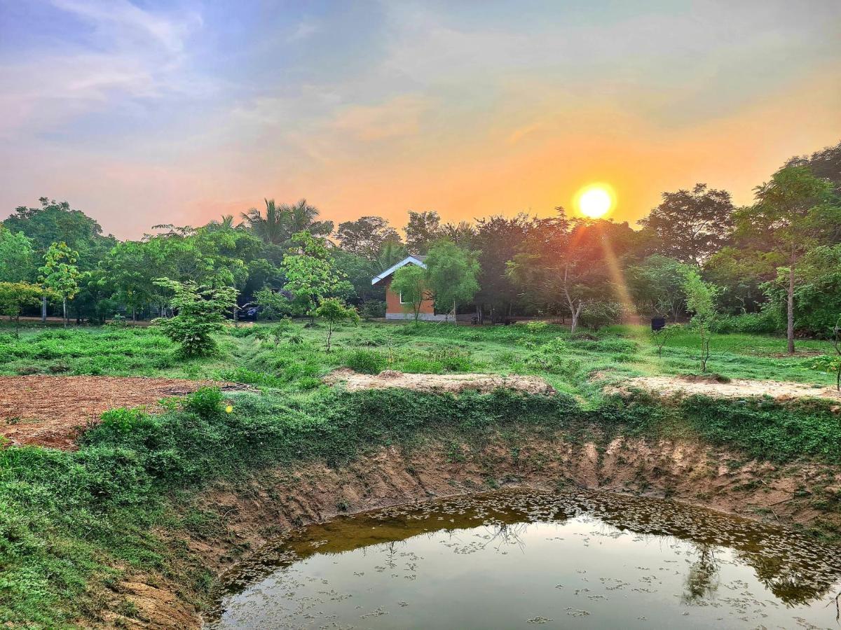 Ranakeliya Lodge - ยาลา ภายนอก รูปภาพ