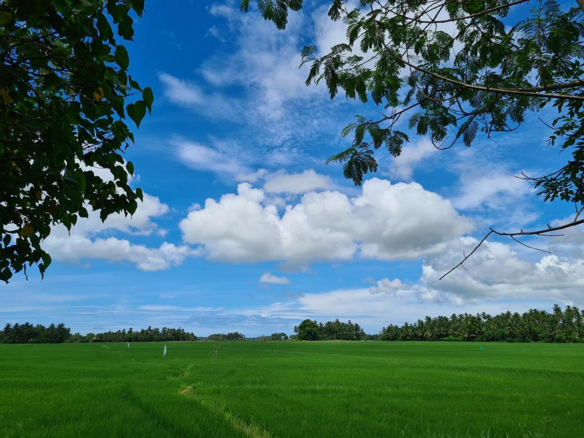 Ranakeliya Lodge - ยาลา ภายนอก รูปภาพ